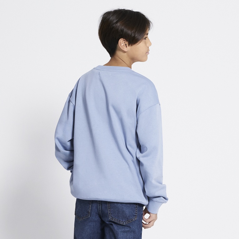 Printed Sweatshirt "Vilgot" Blue 3